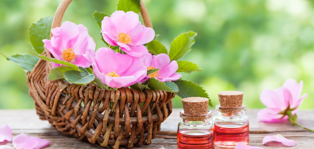 Róże – poprawiają nastrój i leczą. Przepis na napar z płatków róż i olejek różany