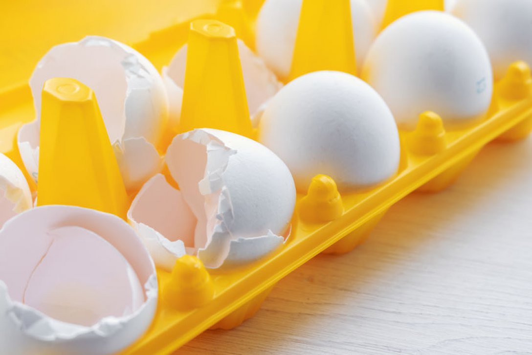 7 sposobów, by wykorzystać skorupki jajek. Zaskakujące, jak bardzo mogą pomóc w domowych porządkach i dbaniu o rośliny!