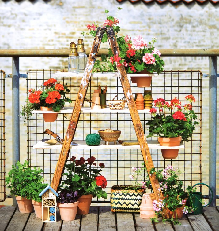 2021_Geraniums_4050_DIY_Urban_Flower_Ladder_09