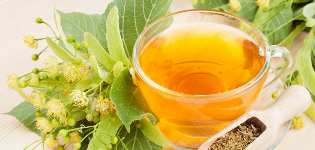 Kuracje z kwiatów lipy pomogą na infekcje, migreny, kłopoty ze snem. Przepisy na syrop, napar, kąpiel, herbatę i lipowe mleko