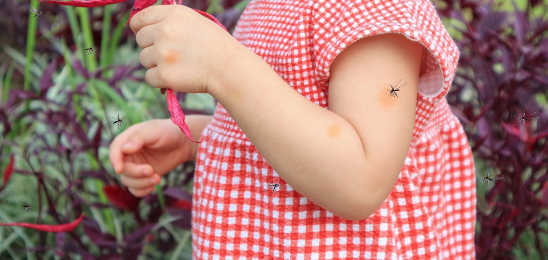 Zapomnij o swędzeniu i opuchliźnie. Bite away® pomoże na ukąszenia i użądlenia owadów