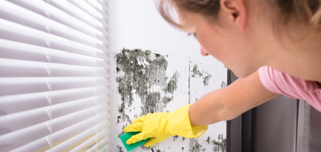 5 sposobów na pozbycie się grzybów i pleśni w domu