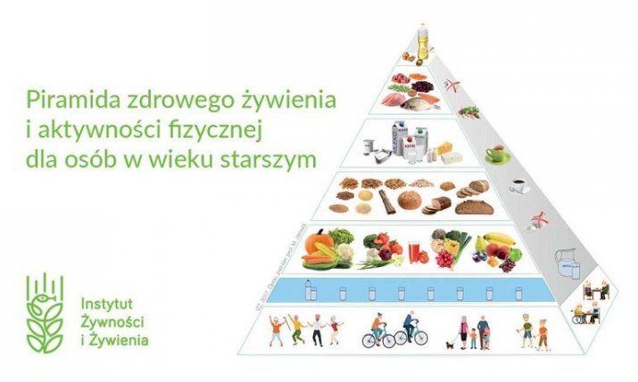 Piramida żywienia 