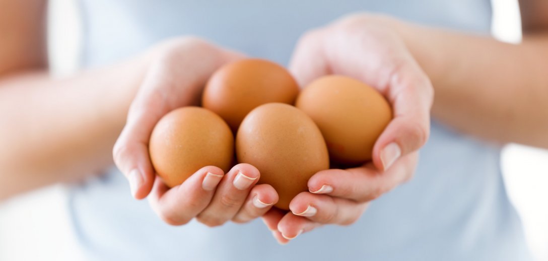 Czy jajka są zdrowe? Obalamy popularne mity o cholesterolu, kaloryczności i właściwościach zdrowotnych jajek