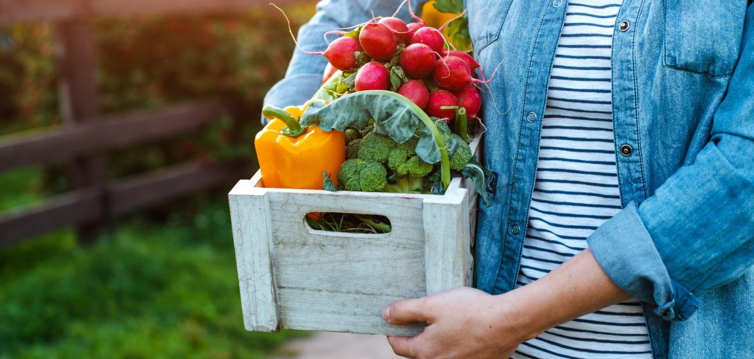 Zakładamy warzywnik na niepewne czasy – jak sadzić i uprawiać warzywa, by cieszyć się własnymi plonami
