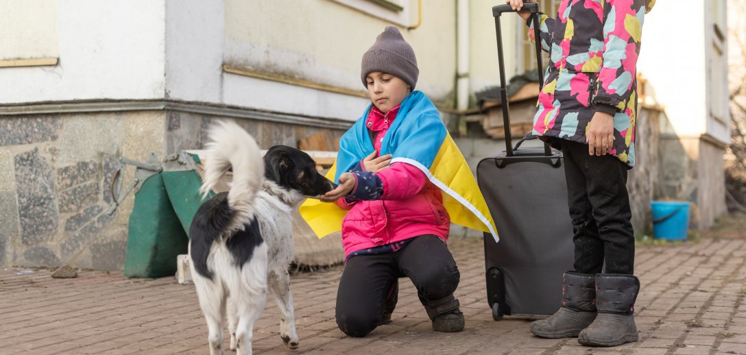 Zwierzęta z Ukrainy też potrzebują pomocy! Jak jej udzielić, gdzie się zgłosić?