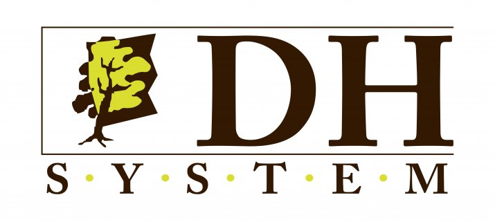 DH-System_poziom-1