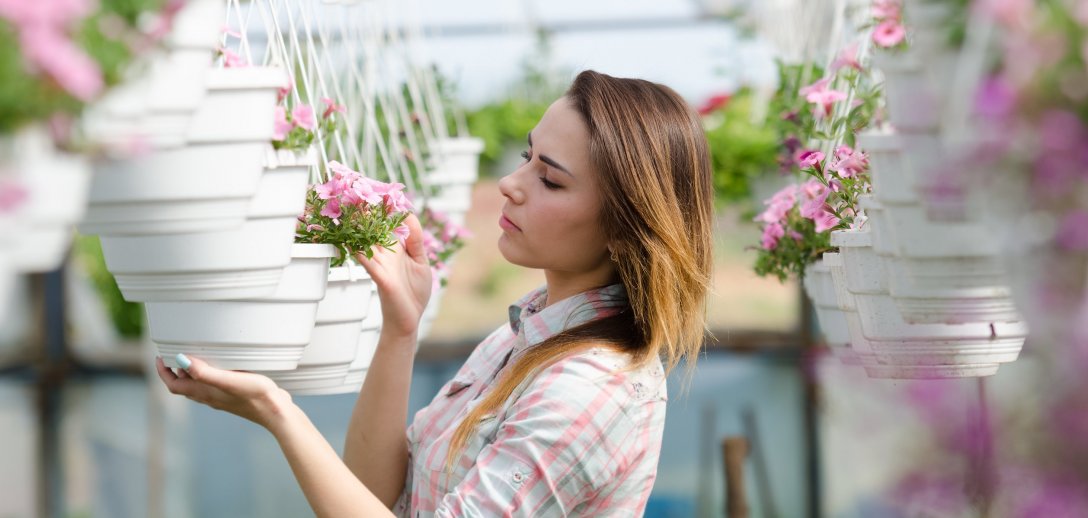 Jak uszczykiwać petunie, pelargonie i inne kwiaty? Prosty zabieg da niesamowite efekty!