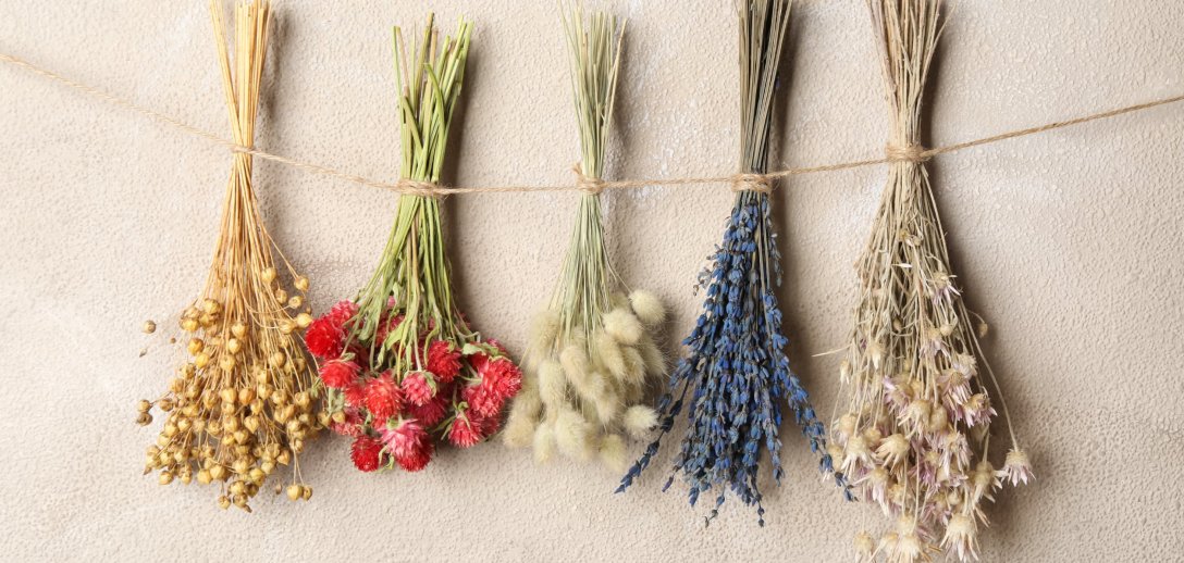 Jak suszyć kwiaty? 4 sprawdzone metody