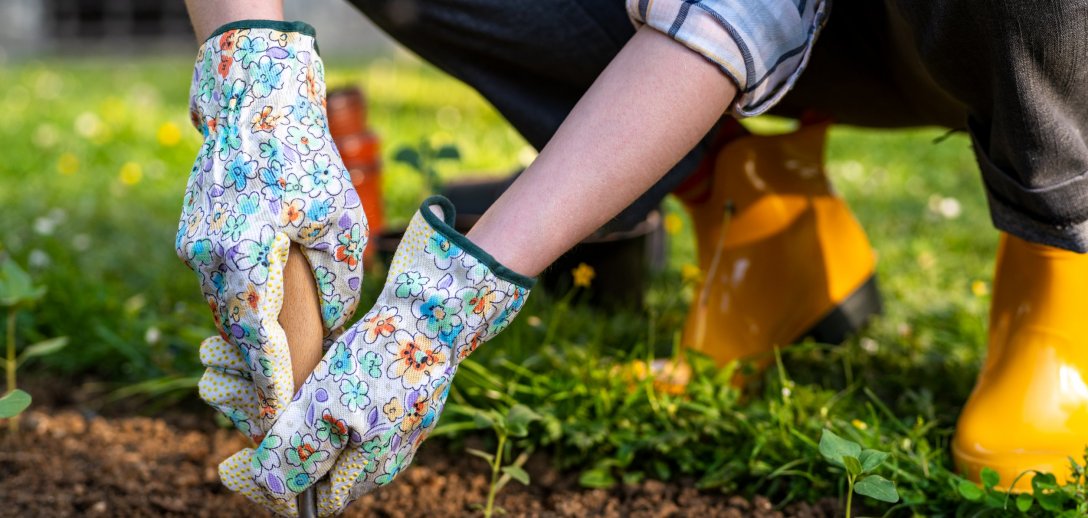 Jakie kwiaty, krzewy i drzewa sadzimy jesienią? Zaplanuj z nami nowe rabaty w ogrodzie!