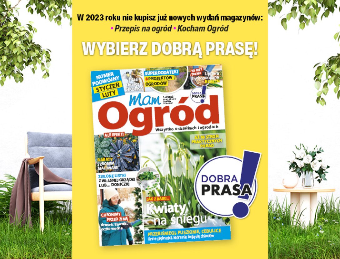 "Mam Ogród"  – ulubiony magazyn miłośników roślin i działkowców