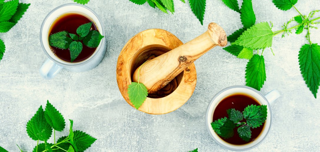 To najlepszy moment na zbiór pokrzywy! Jak zrobić z niej proste i skuteczne domowe kuracje?