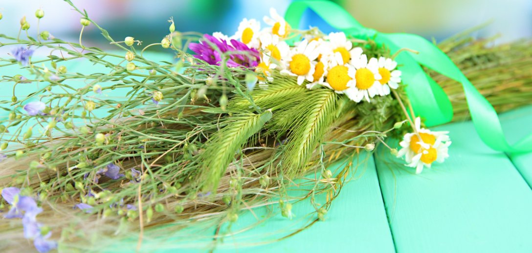 Kwiaty i zioła Matki Boskiej Zielnej. Co symbolizują i przed czym mają chronić?