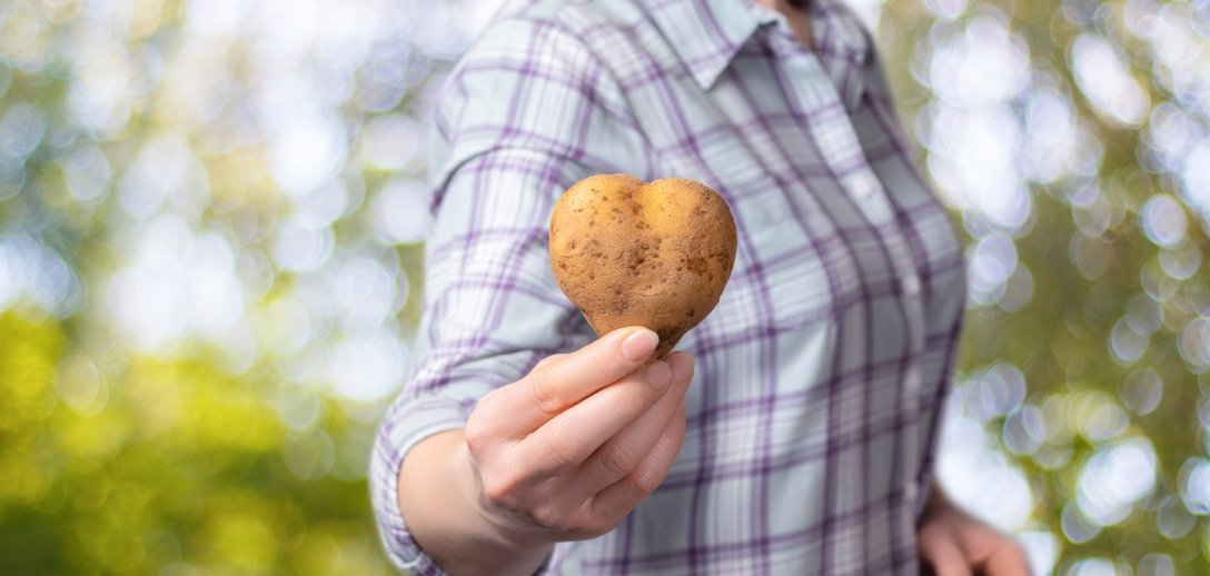 Czy ziemniaki naprawdę tuczą? Będziesz zdziwiona, gdy zobaczysz, ile mają kalorii!