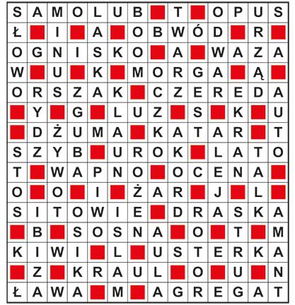 R_sil_15_27_jolka