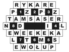 R_im_16_s23_wirowka