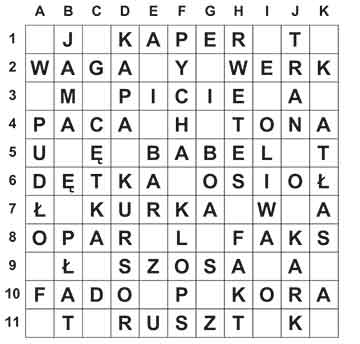 R_sil_19_28_ameryka