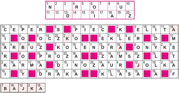 R_nz_20_27_SZYFR