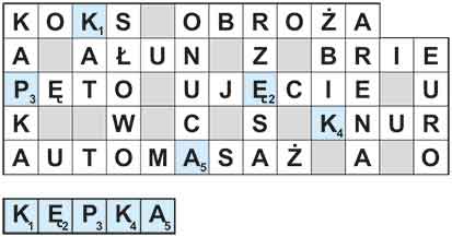 Rdt_24_32_jolka