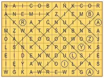 R_zg_24_37_wykr