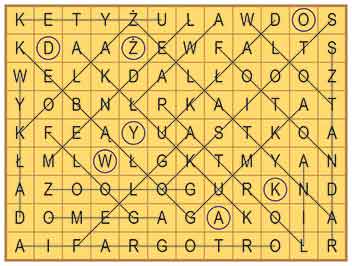 R_zg_25_37_wykr
