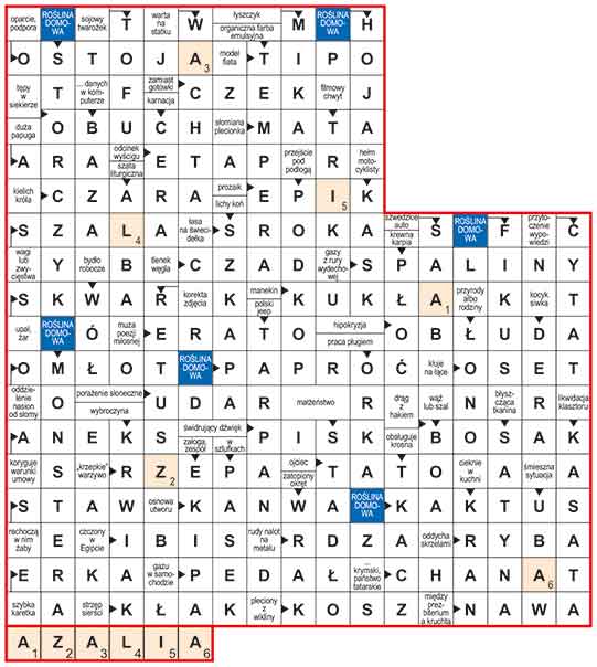 R_sil_25_17_ROŚLINY_DOMOWE