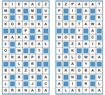 R_sil_25_26_układ