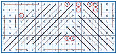 R_sil_26_27_wykr