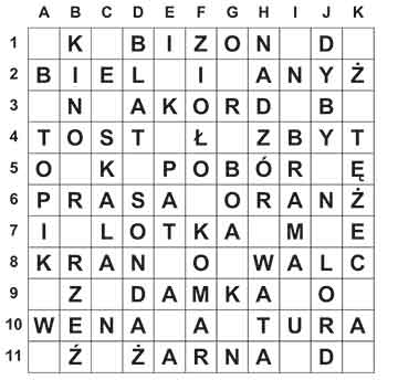 R_sil_28_28_ameryka