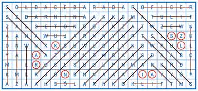 R_sil_29_27_wykr