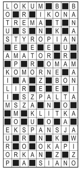 R_im_31_s19_szyfrpion
