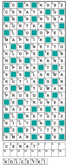 R_zg_31_37_szyfr