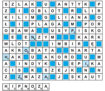 R_nz_31_27_jolka