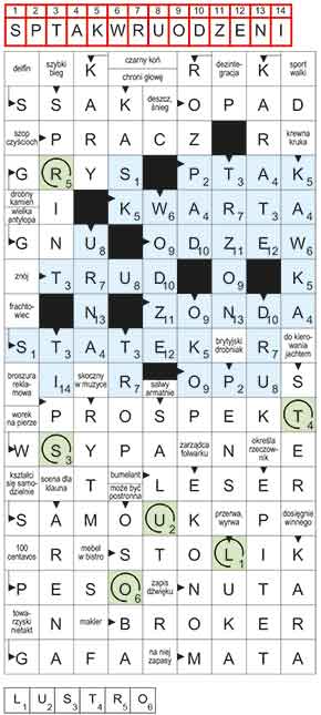 R_CC_31_47_KLEKS