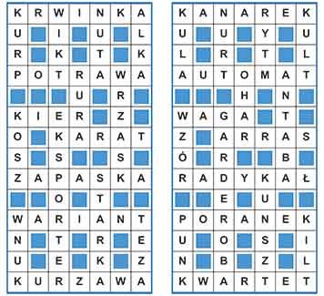 R_sil_31_26_uk┼éad