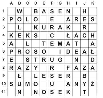 R_sil_31_28_ameryka