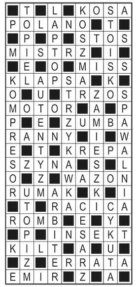 R_im_33_s27_szyfrpion