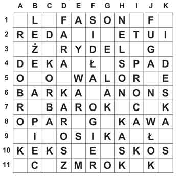 R_sil_33_28_ameryka