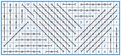 R_sil_36_27_wykr