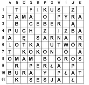 R_sil_37_28_ameryka