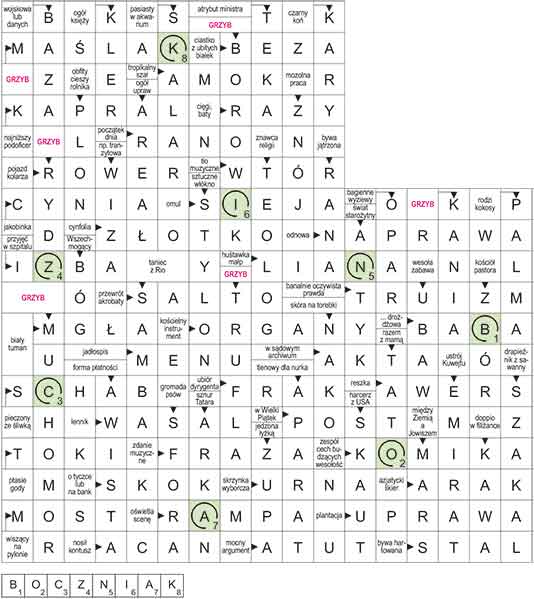 R_CC_37_07_GRZYBY