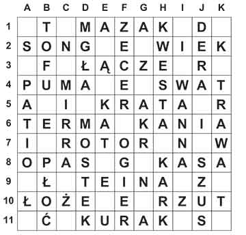 R_sil_38_28_ameryka