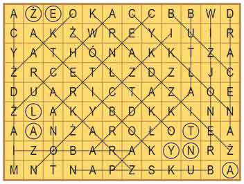 R_zg_39_33_wykr
