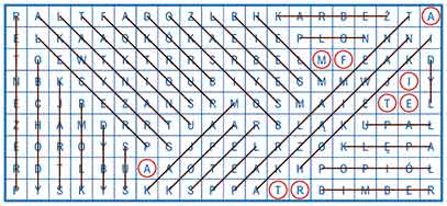 R_sil_39_27_wykr
