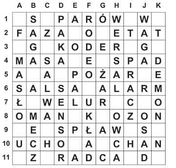R_sil_39_28_ameryka