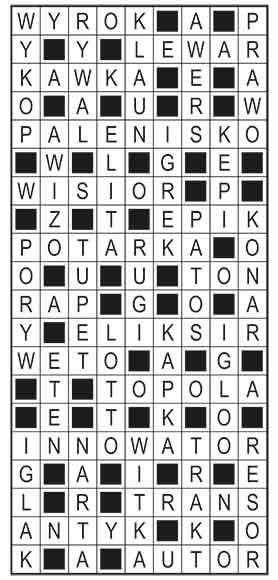 R_im_40_s19_szyfrpion