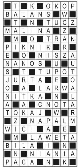 R_im_40_s27_szyfrpion