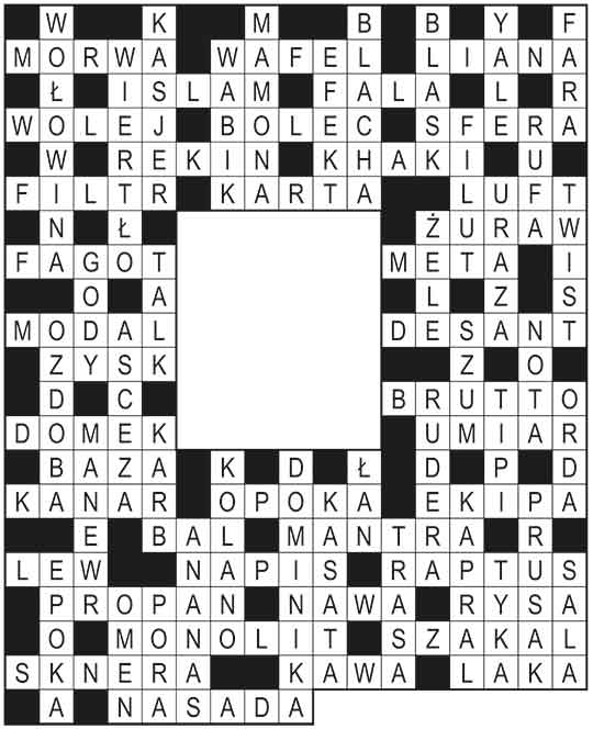 R_im_41_s22_gwiazda_Dominika