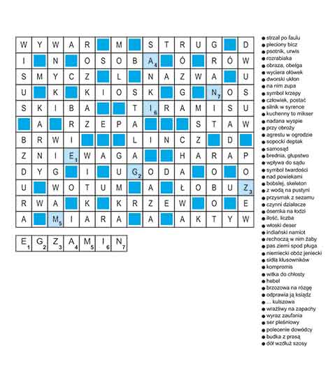 R_re_41_27_jolka