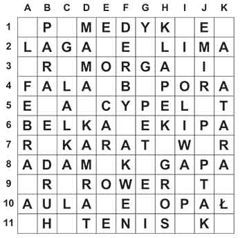 R_sil_41_28_ameryka